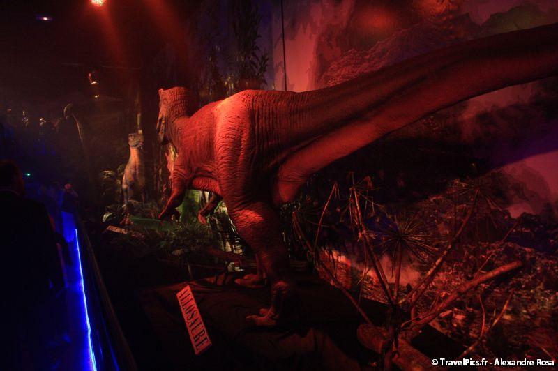 gal/evenements/Dinovotion_-_Amneville_les_Thermes/Dinovotion_Amneville_Inauguration376.jpg