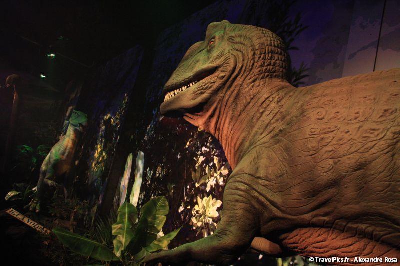 gal/evenements/Dinovotion_-_Amneville_les_Thermes/Dinovotion_Amneville_Inauguration377.jpg