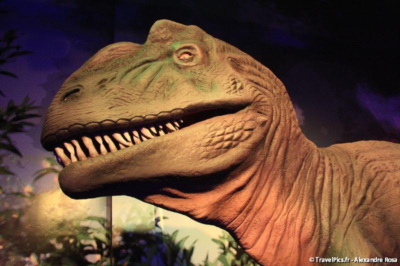gal/evenements/Dinovotion_-_Amneville_les_Thermes/Dinovotion_Amneville_Inauguration380.jpg