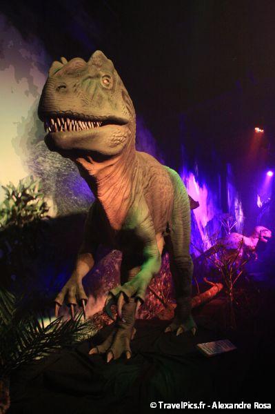 gal/evenements/Dinovotion_-_Amneville_les_Thermes/Dinovotion_Amneville_Inauguration381.jpg