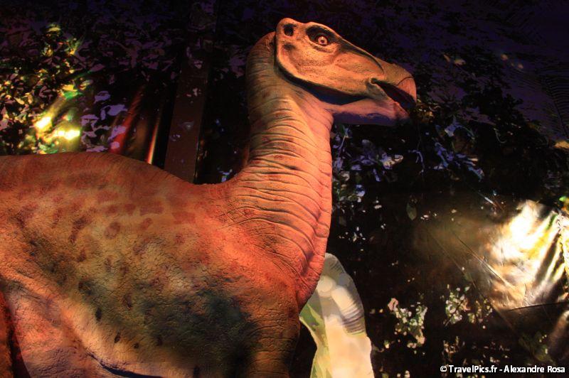 gal/evenements/Dinovotion_-_Amneville_les_Thermes/Dinovotion_Amneville_Inauguration383.jpg