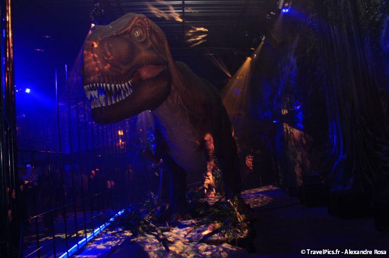 gal/evenements/Dinovotion_-_Amneville_les_Thermes/Dinovotion_Amneville_Inauguration396.jpg