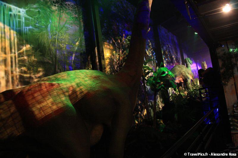 gal/evenements/Dinovotion_-_Amneville_les_Thermes/Dinovotion_Amneville_Inauguration428.jpg