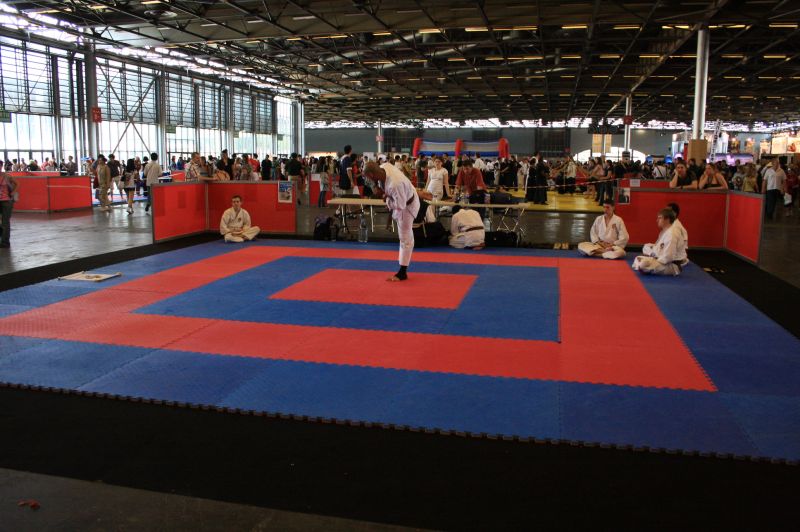 gal/evenements/Japan_Expo_2009/Japan_Expo_2009_Villepinte330.jpg