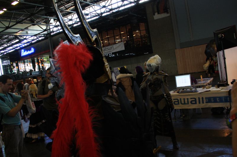 gal/evenements/Japan_Expo_2009/Japan_Expo_2009_Villepinte440.jpg