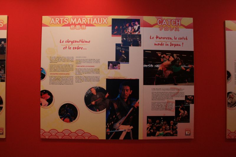 gal/evenements/Japan_Expo_2009/Japan_Expo_2009_Villepinte468.jpg