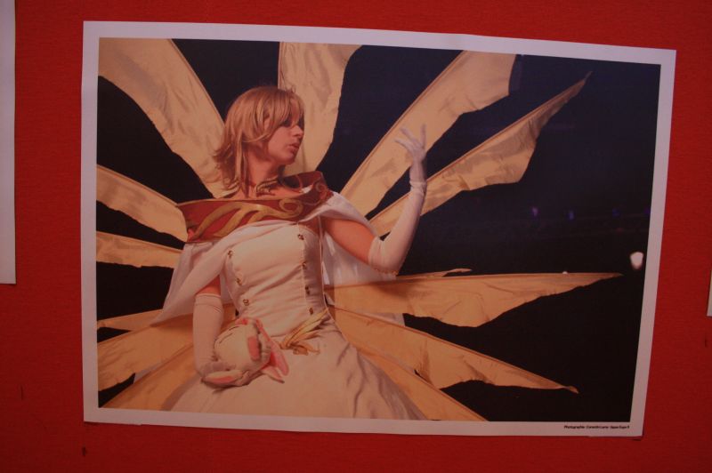 gal/evenements/Japan_Expo_2009/Japan_Expo_2009_Villepinte472.jpg