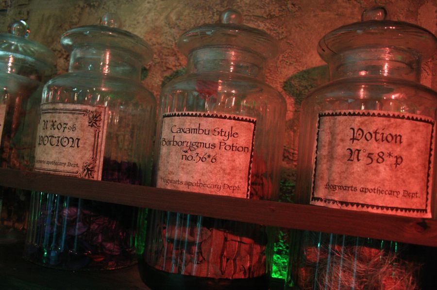 gal/evenements/Train_Harry_Potter_-_Gare_du_Nord_2009/Train_Harry_Potter_Paris_Prince_Sang_Mele077.jpg